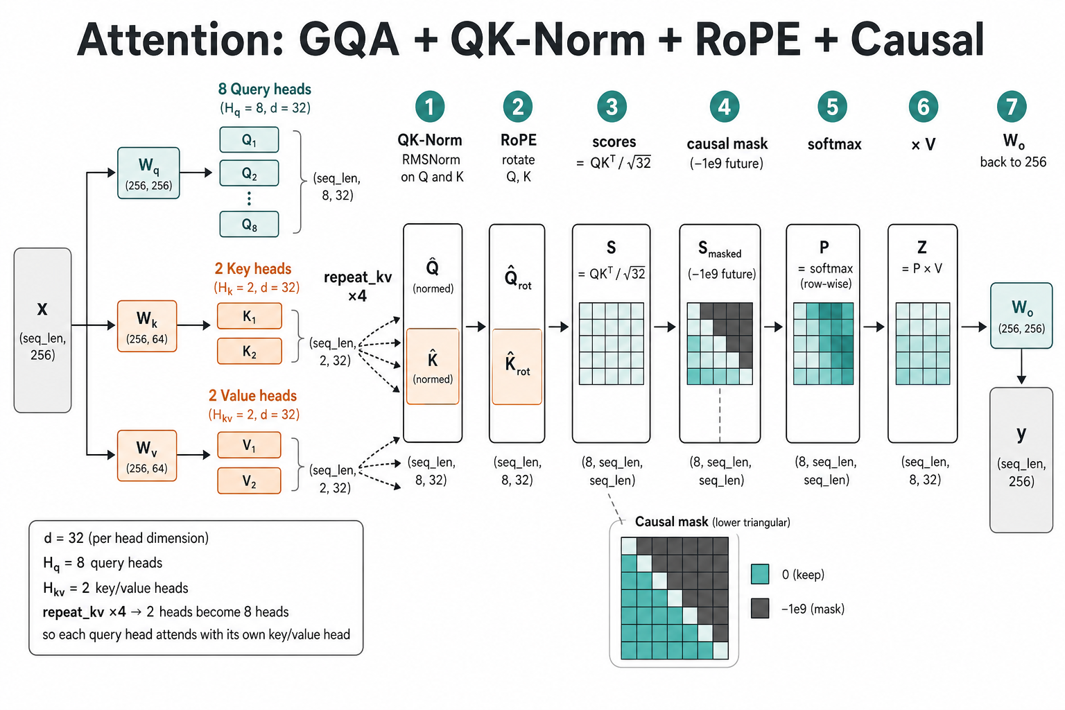 Attention path — GQA 8 query heads vs 2 KV heads, QK-Norm, RoPE, causal mask, softmax