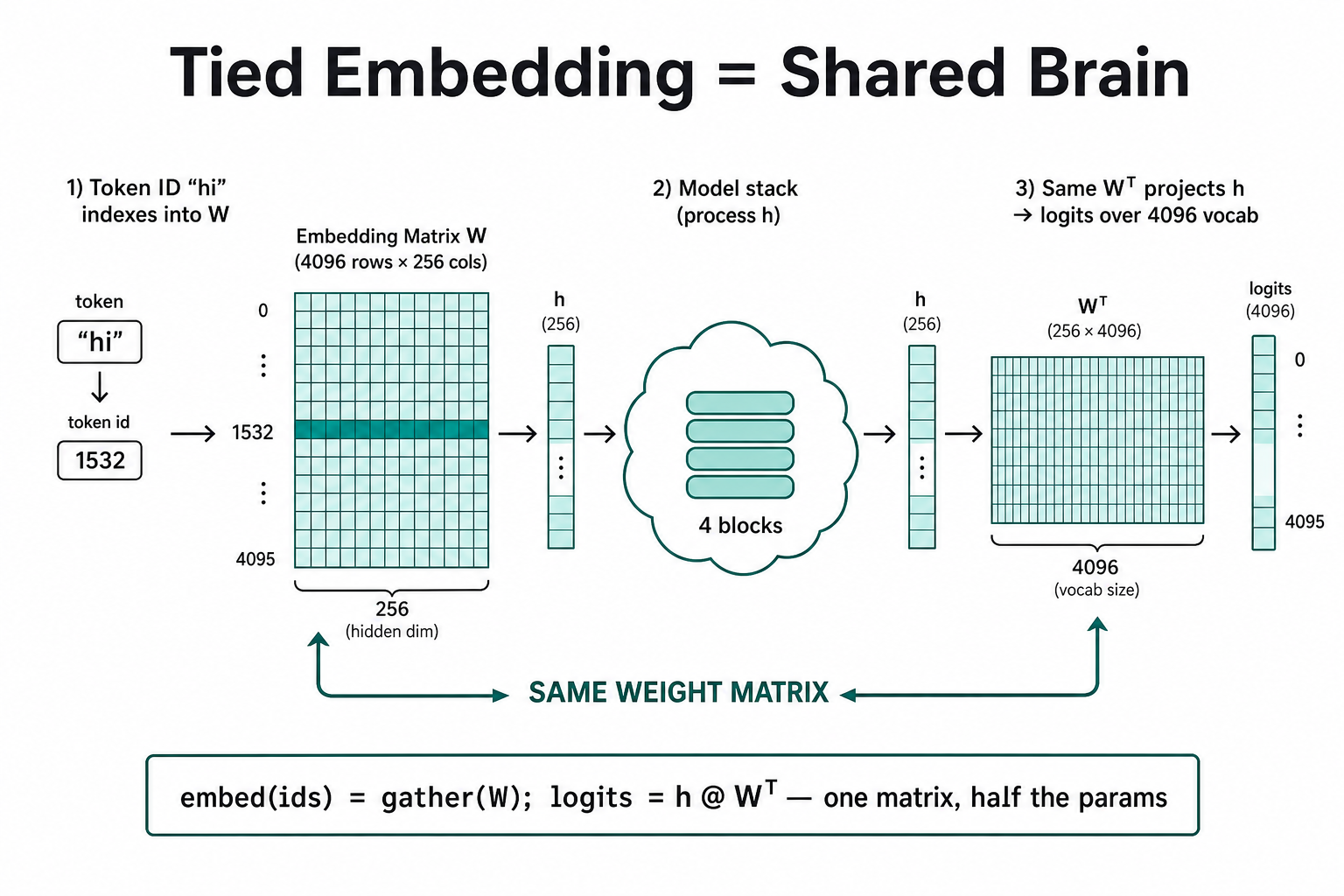 Tied embedding — same weight matrix for token lookup and vocabulary projection